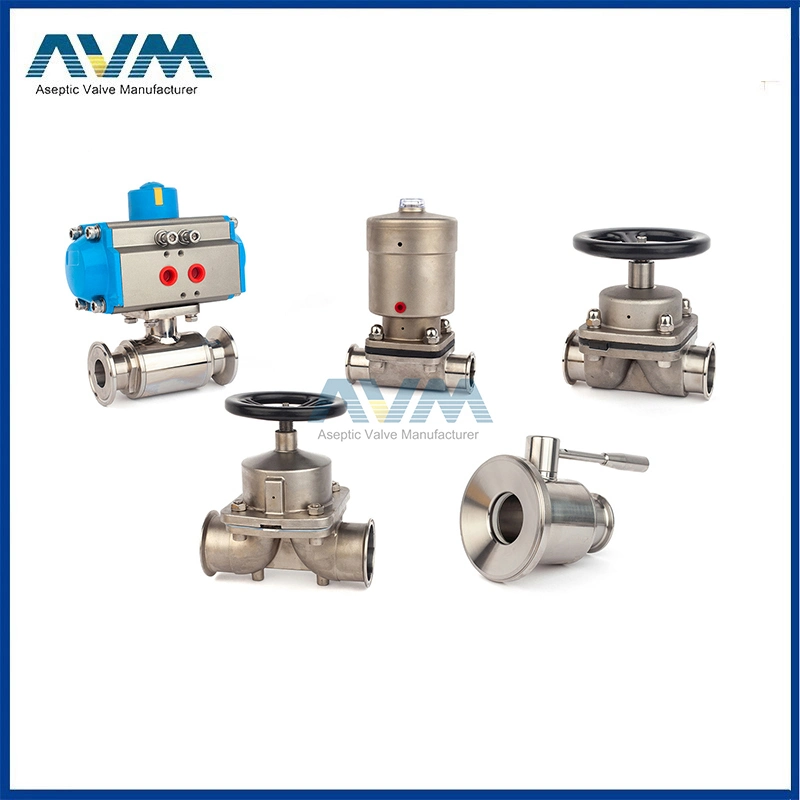 SS304 SS316L Stainless Steel Sanitary Butterfly Type Welded Ball Valve